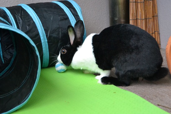 210905 itoDSC_3016 (2)