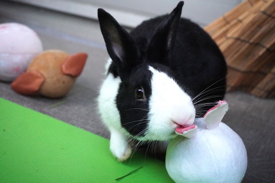 20231001こんDSC03607