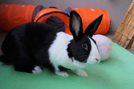 20230429みるDSC06773