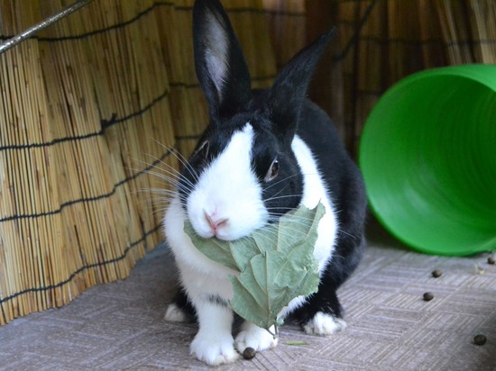 210905 itoDSC_0006 (2)