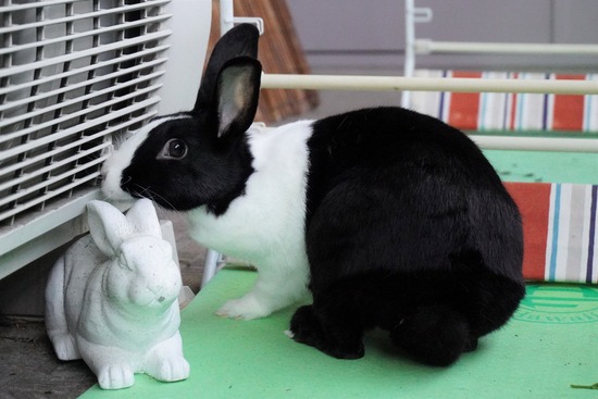 20230429みるDSC06756