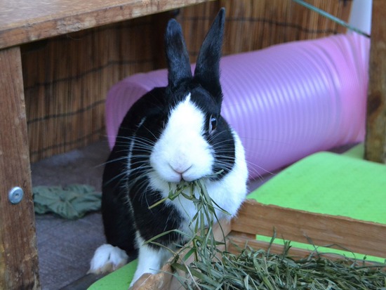 210920 obi DSC_2126 (2)