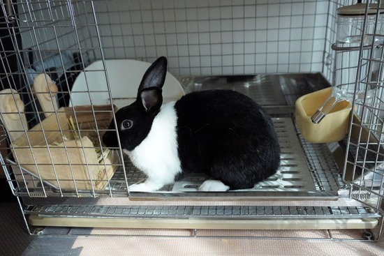 230311みつDSC05404 (2)