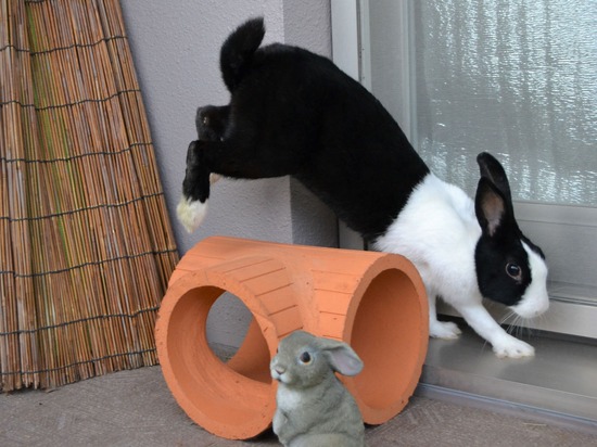 211205 komaDSC_1958 (2)