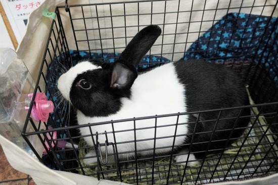 230114るりDSC04786