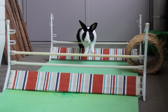 20230429あいDSC06711 (2)