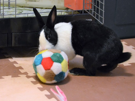 210723 おっきDSC_3125 (2)