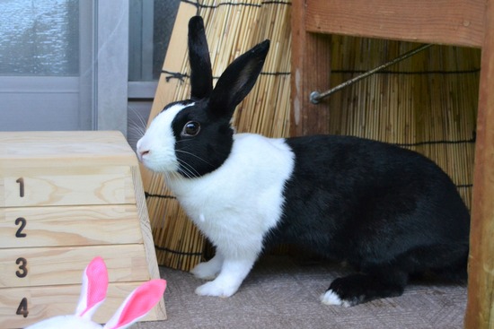 210905 itoDSC_2783 (2)