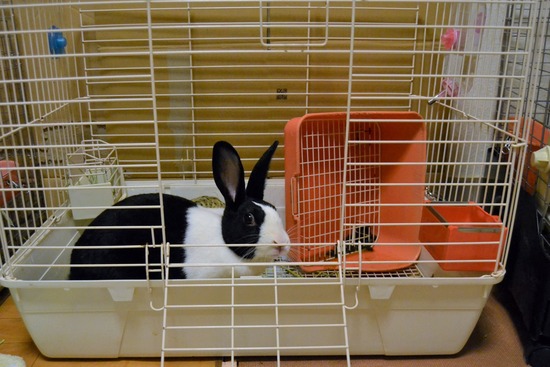 210810 いとDSC_2063 (2)