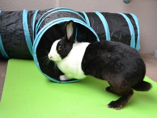 210905 okkiDSC_2407 (2)