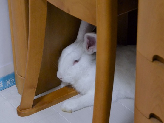 210828 ミルクDSC_2156 (2)