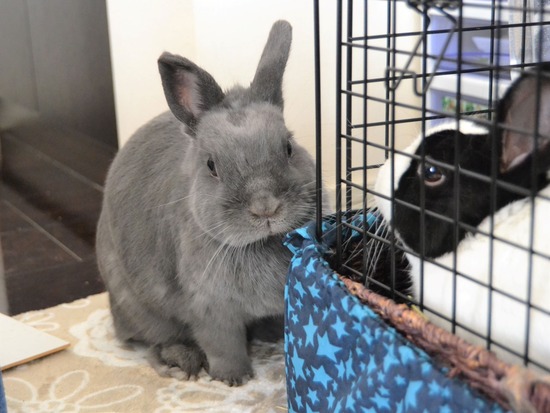 211003 powa DSC_1268 (2)