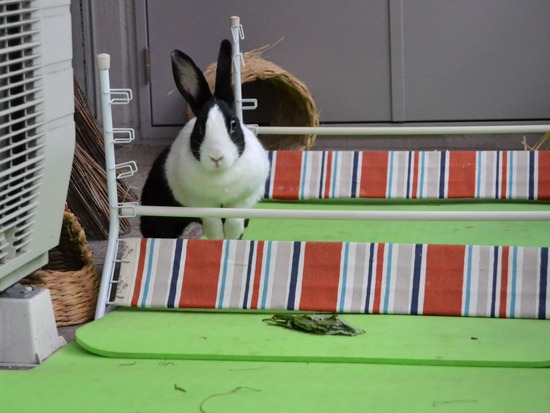 210912 okki DSC_0456 (2)