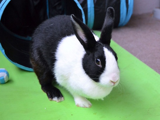 210912 okki DSC_0371 (2)