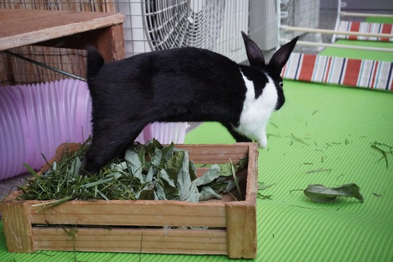 20231008こんDSC04492