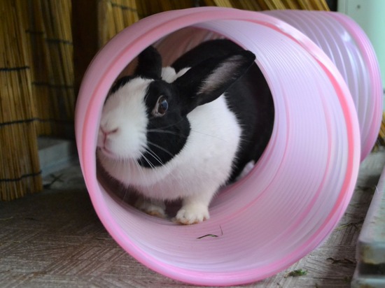 210912 ito DSC_0511 (2)