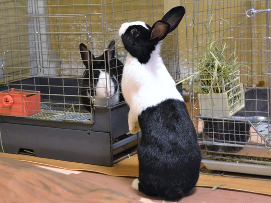 210723 こまDSC_0170 (2)