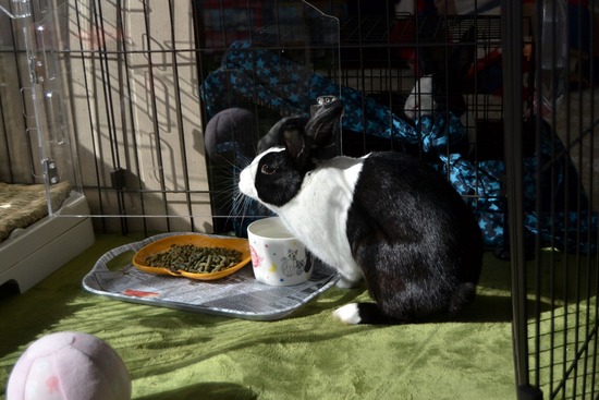 211003 powa DSC_1271 (1)