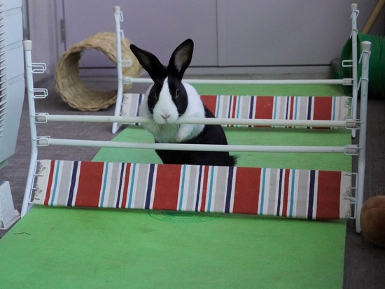 220129クッキーDSC04206 (2)