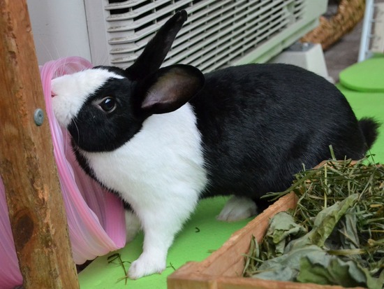 210912 bi2 DSC_0106 (2)