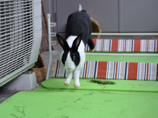 210912 ito DSC_0536 (2)