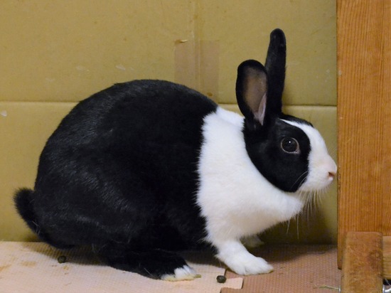 210810 いとDSC_2081 (2)