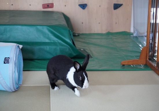 230108もなかDSC04638 (2)