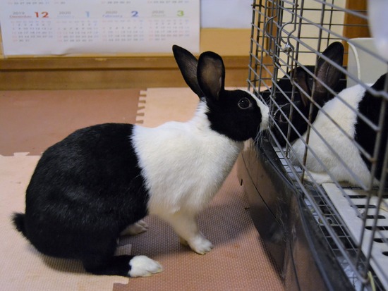 210723 こまDSC_0107 (2)