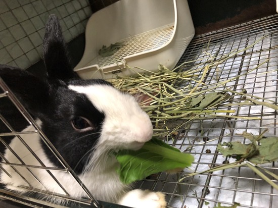 8407E17B-50C3-4D94-89DF-3E6D1C84C995