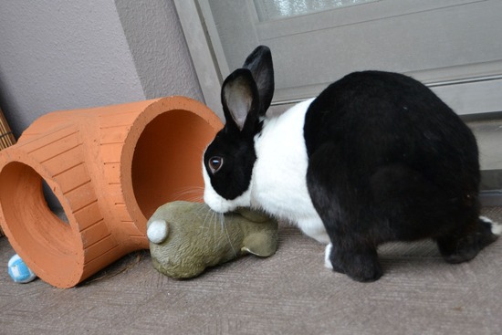 210912 powa DSC_2104 (2)