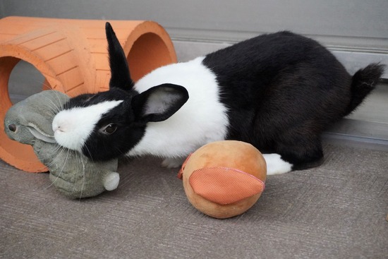 20230429げんDSC06922