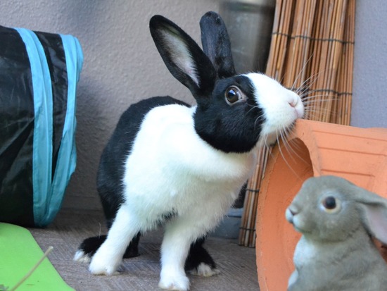 210905 itoDSC_2822 (2)