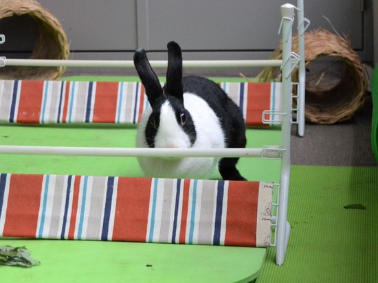 210912 okki DSC_0334 (2)