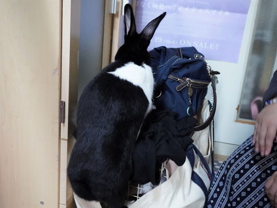 220923ビスケDSC00846 (2)