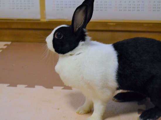 210723 おっきDSC_3097 (2)