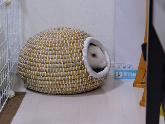 210828 ミルクDSC_2130 (2)