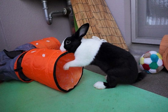 20230503げんDSC08598