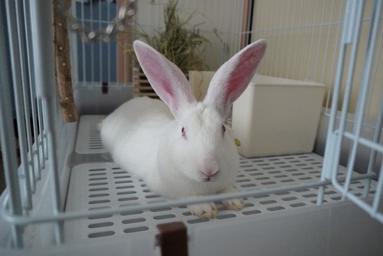 20230527RDSC00395 (2)