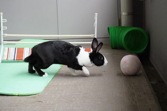 20230611みるDSC00652