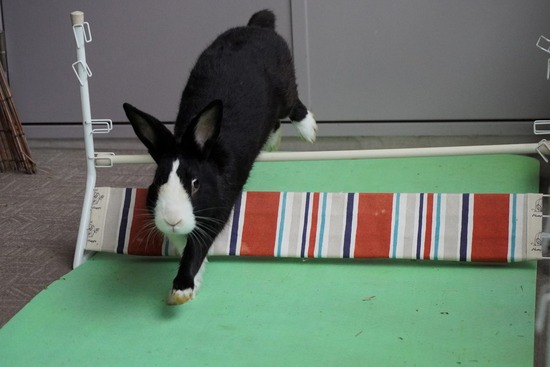 20230429こんDSC06417