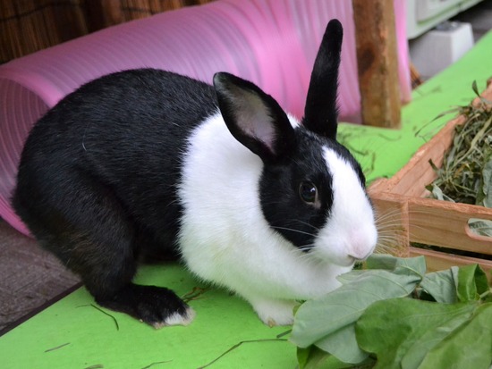 210912 okki DSC_0441 (2)