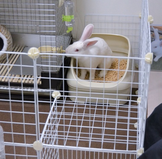 210828 ミルクDSC_2074 (2)