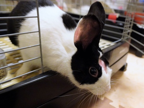 221230ちゃいDSC04143