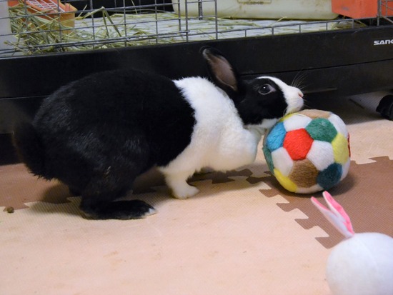 210723 おっきDSC_3153 (2)