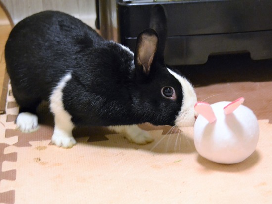 210723 ビーツDSC_0249 (2)