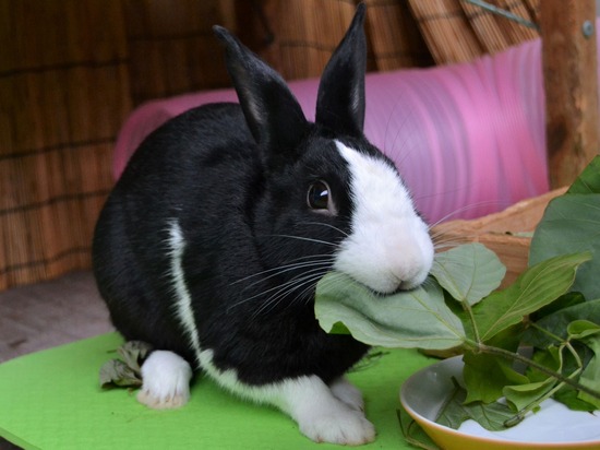 210912 bi2 DSC_2880 (2)