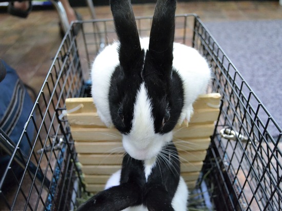 210821 おっきDSC_2095 (2)