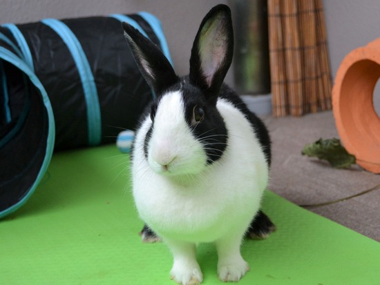 210905 okkiDSC_2623 (2)