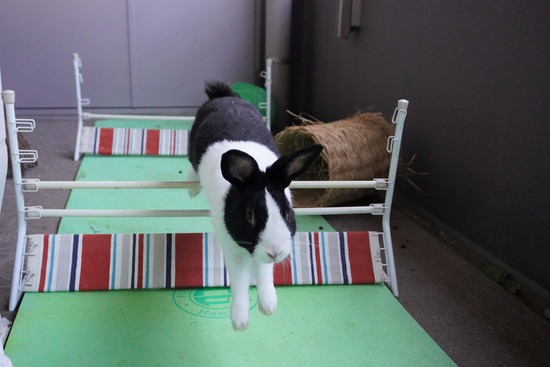 20230503げんDSC08778