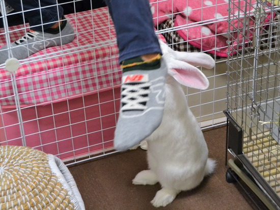 210828 ミルクDSC_2179 (2)